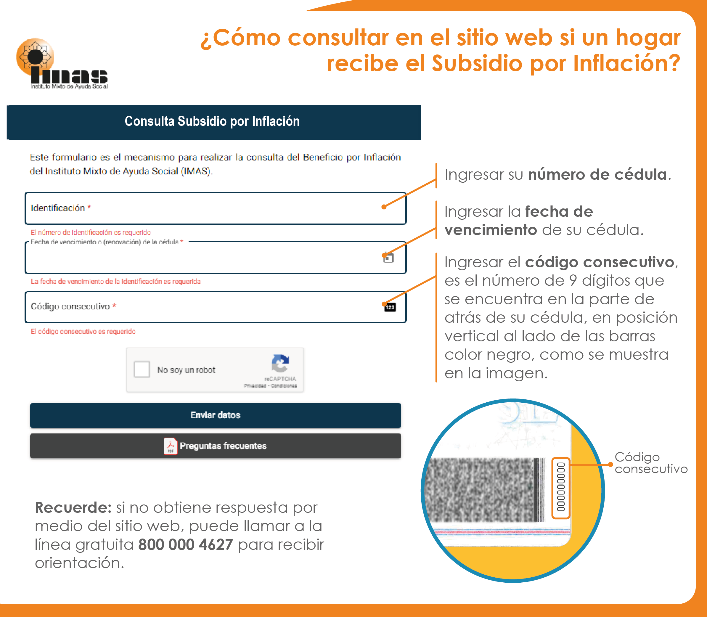 ¿Cómo consultar en el sitio web?