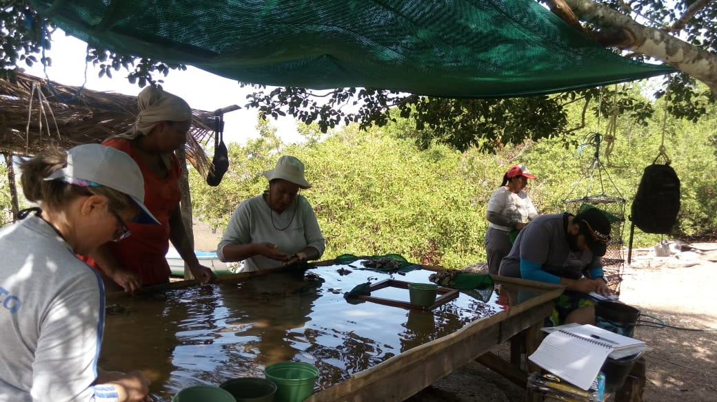 Personal de la Estación Biológica Marina de Puntarenas trabajando en Chira