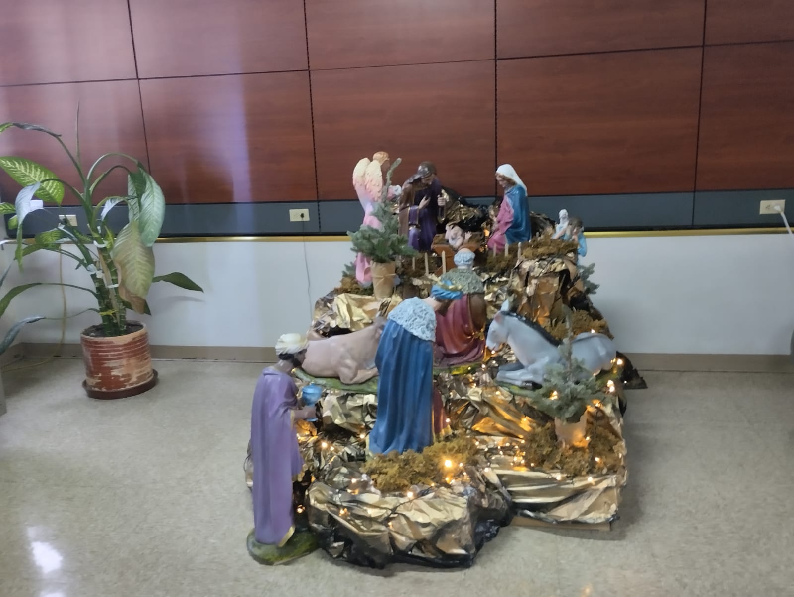 pasito o pesebre de navidad en IMAS (edificio central)