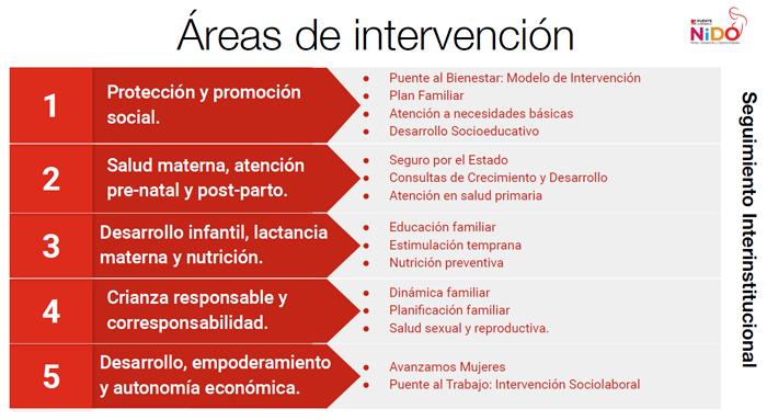 Áreas de intervención NIDO