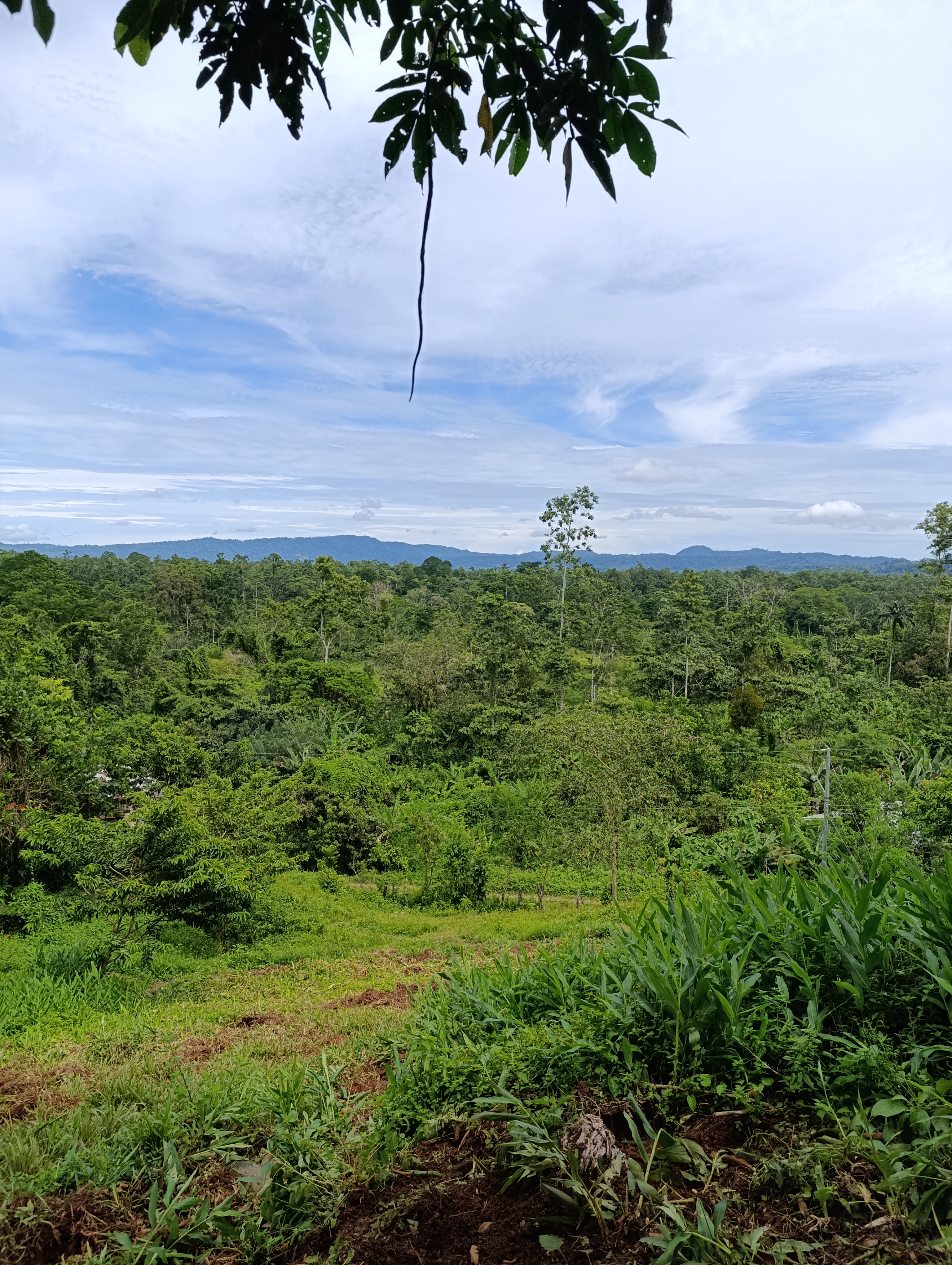 Paisaje de NAMUWOKI 2