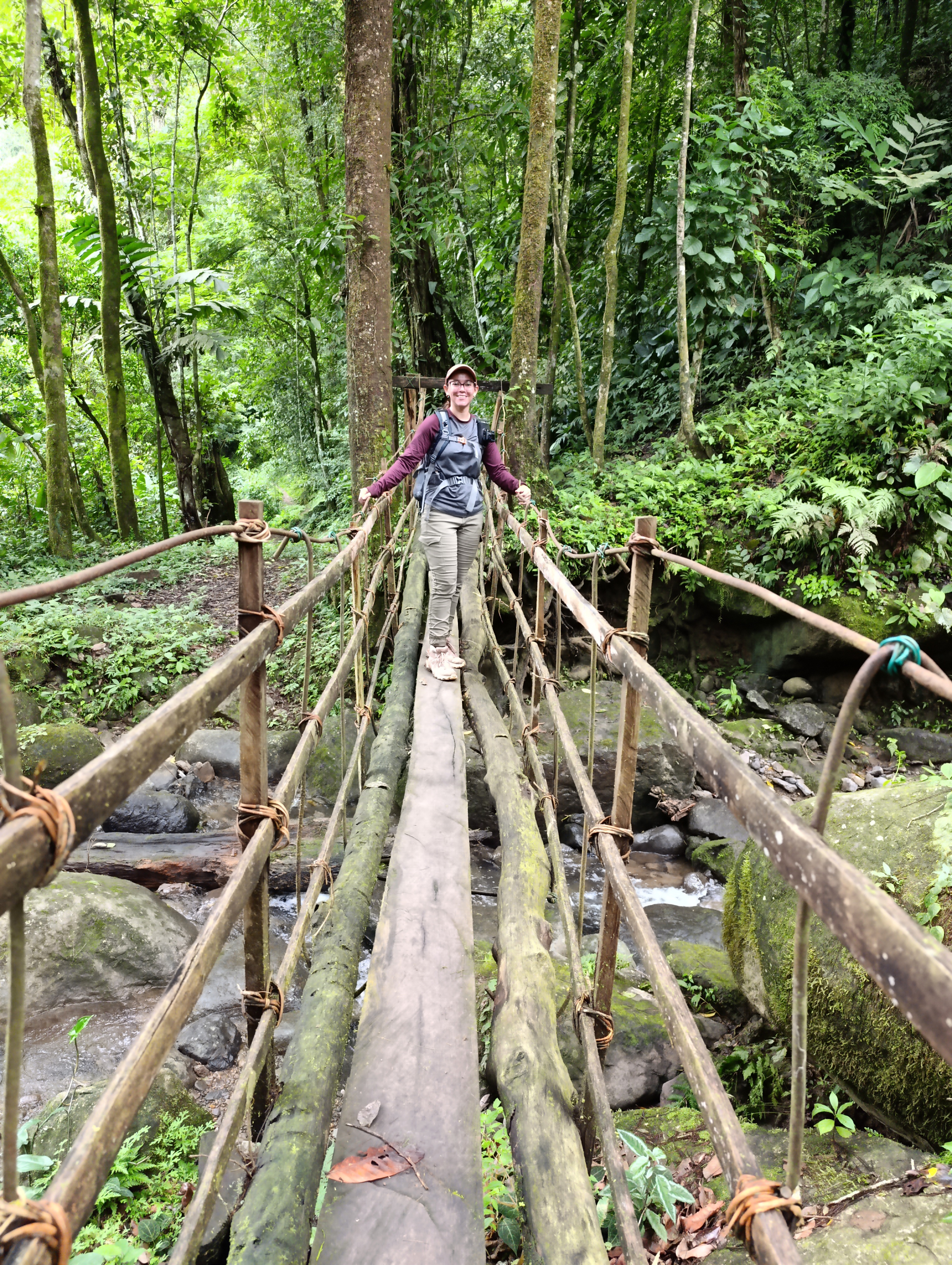 image-20241115154546-1