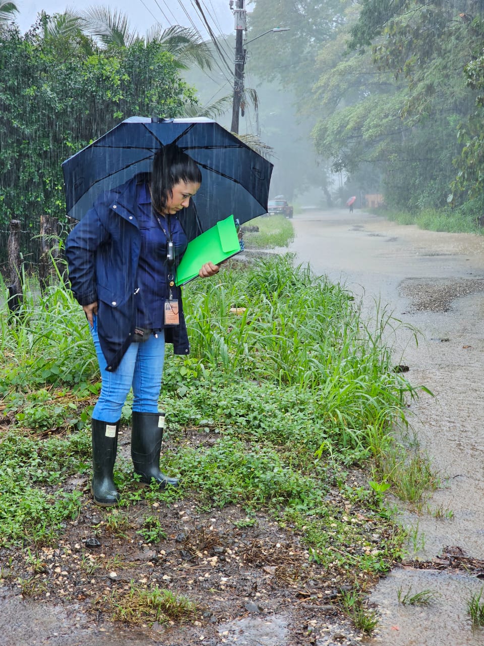 image-20241118091916-1