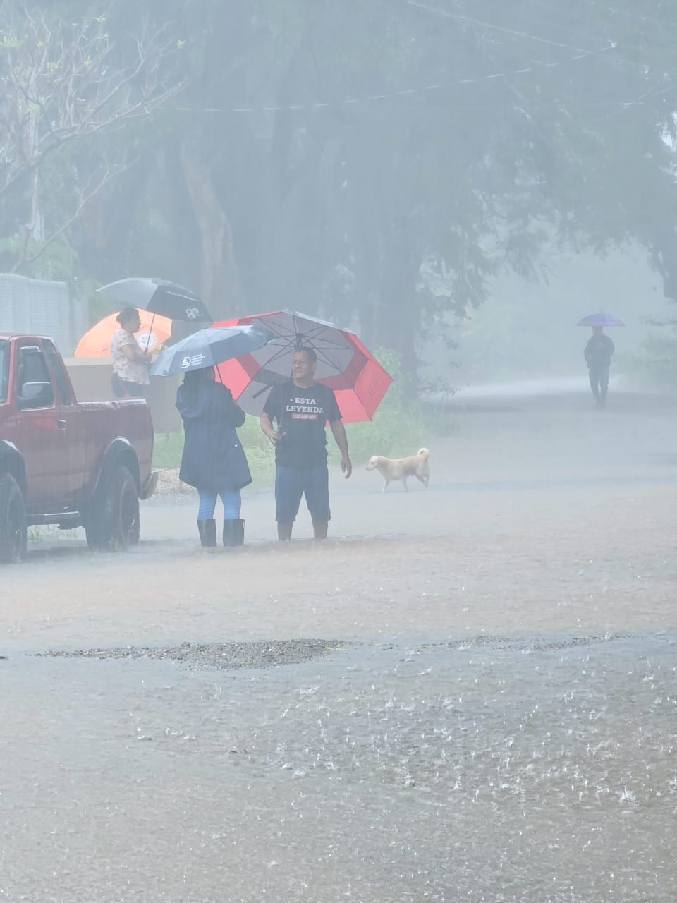 image-20241118091952-1