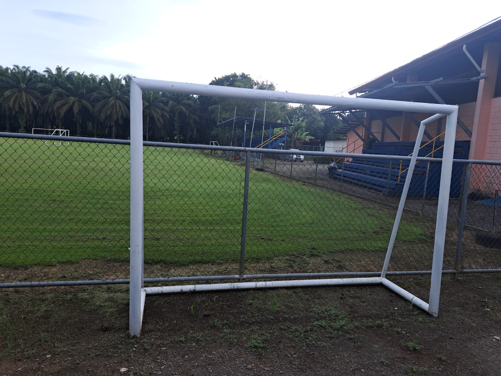 image-20241220134408-1