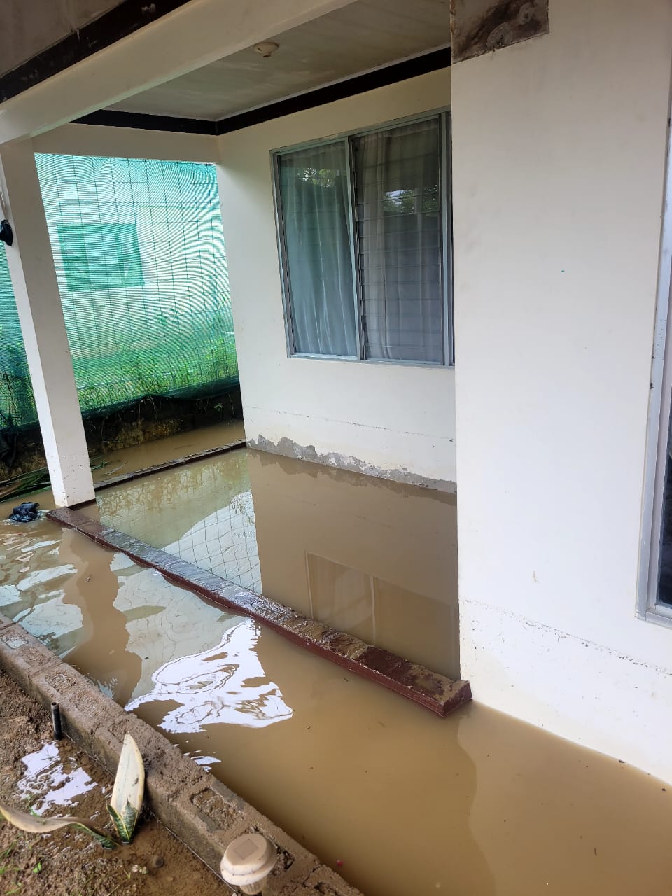 image-20250110101531-1