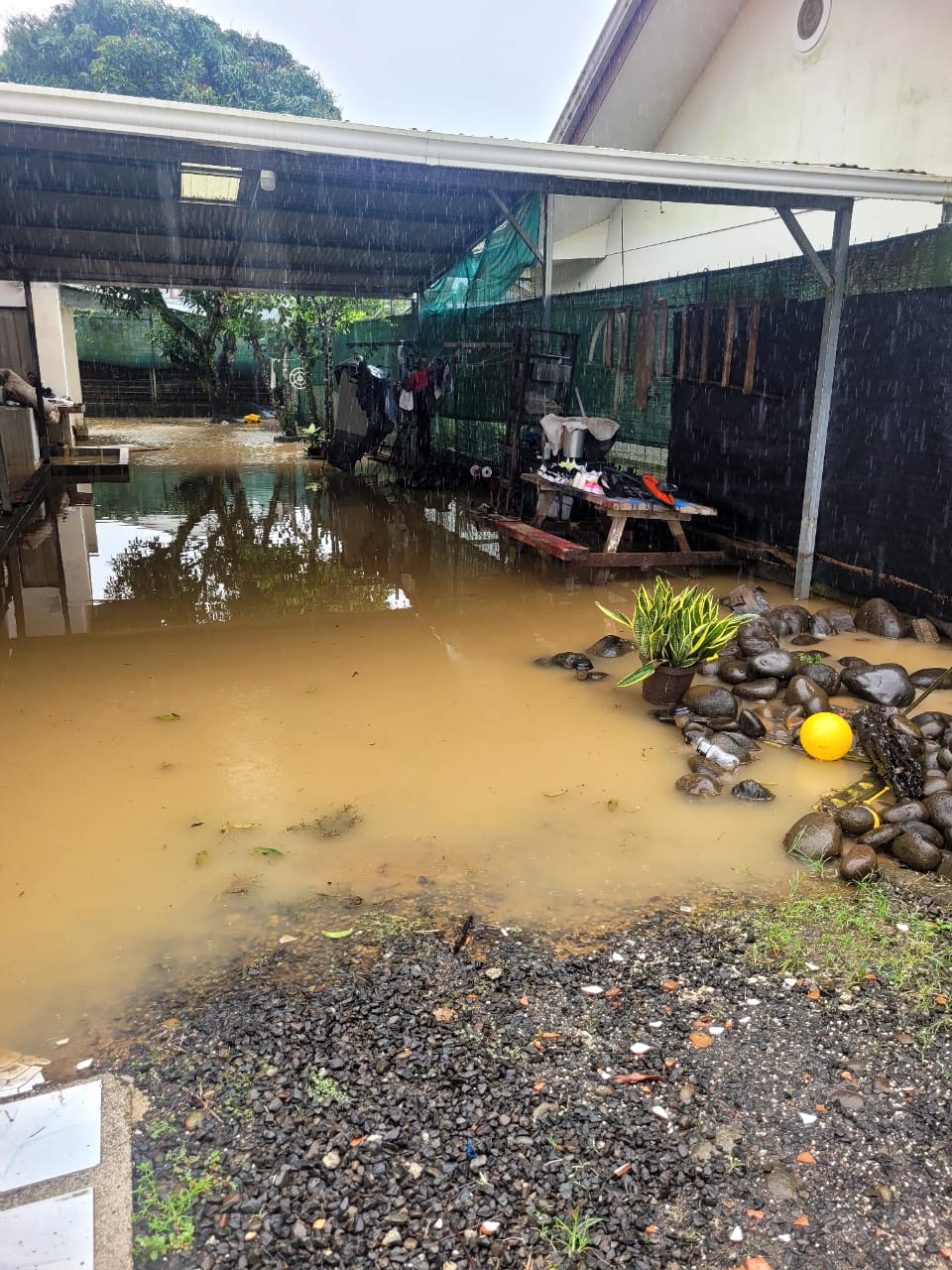 image-20250110101552-2