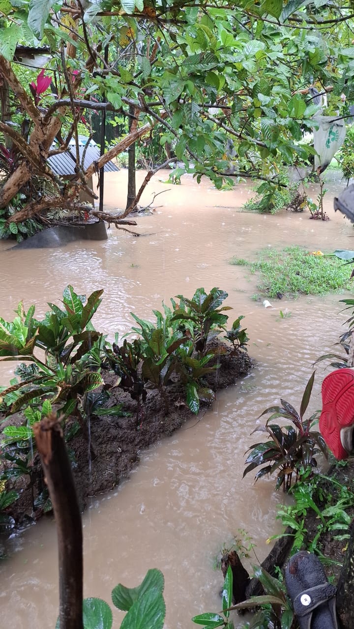 image-20250110101622-3