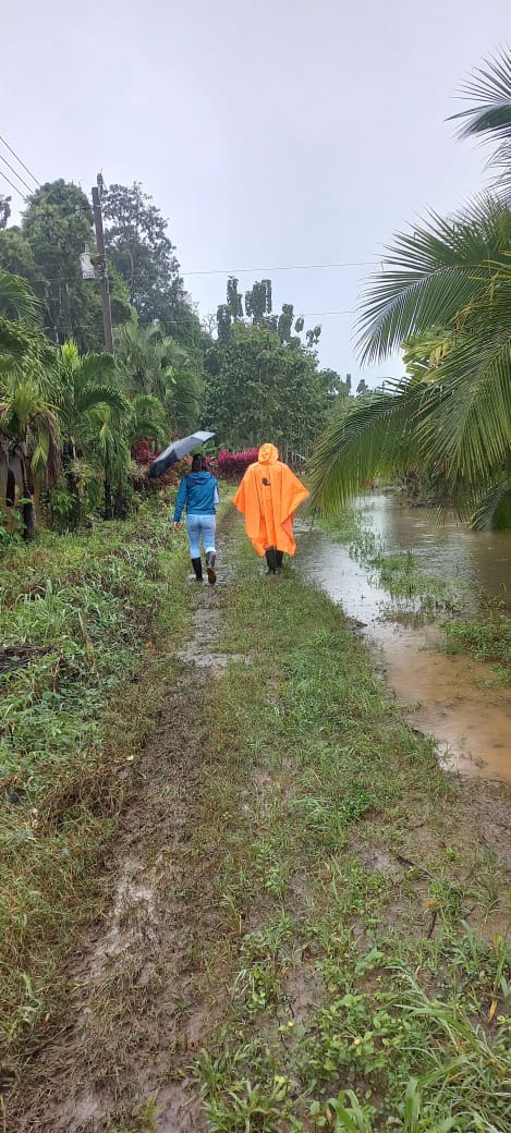 image-20250110101658-4