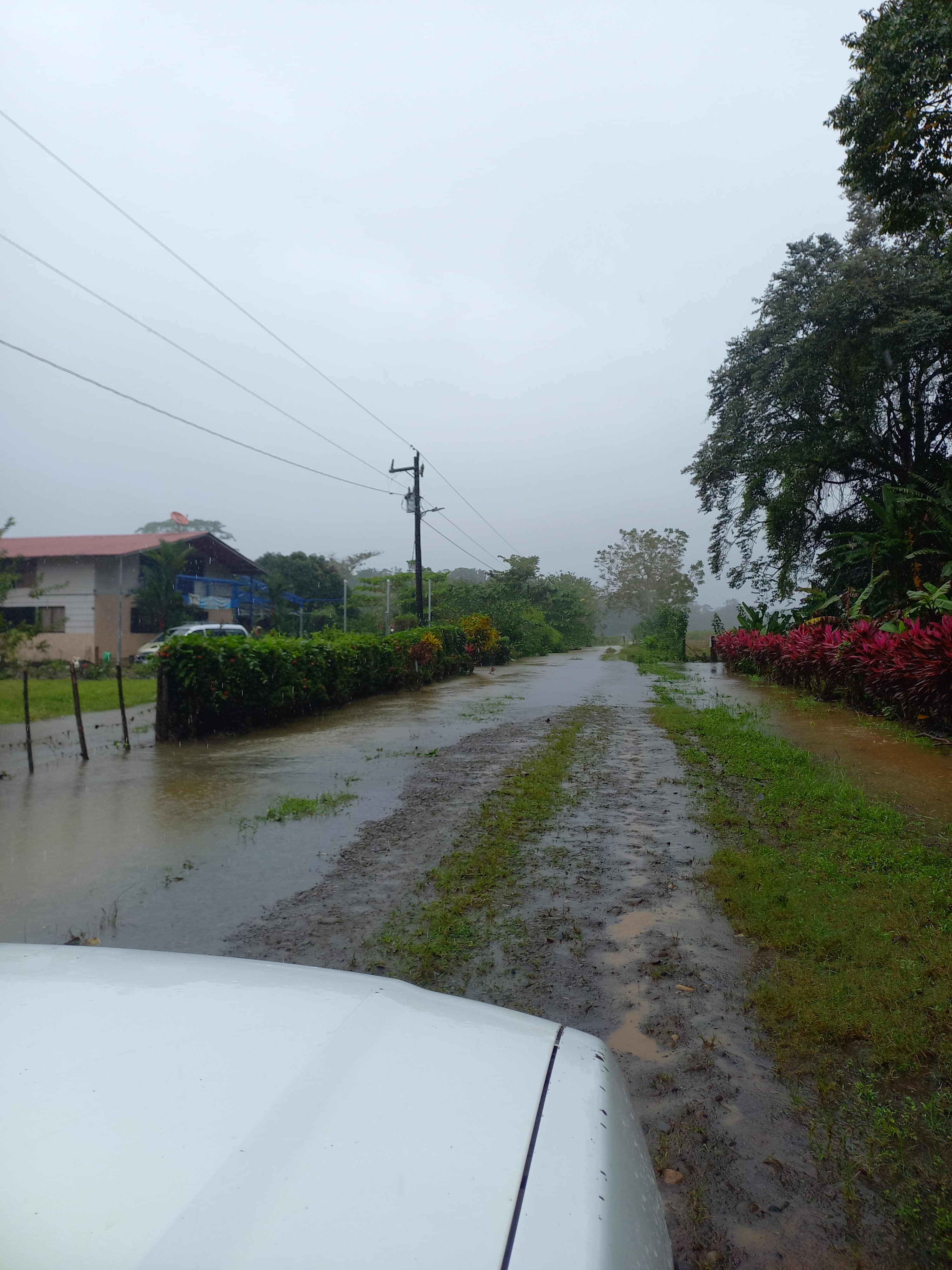 image-20250110101733-6