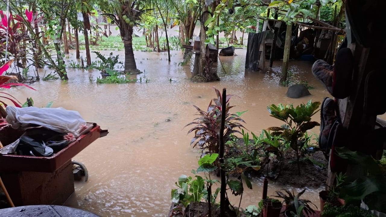 image-20250110101817-8