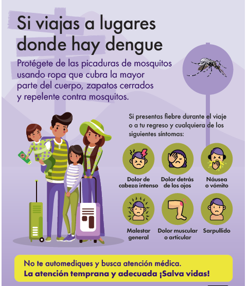 Imagen información sobre Dengue