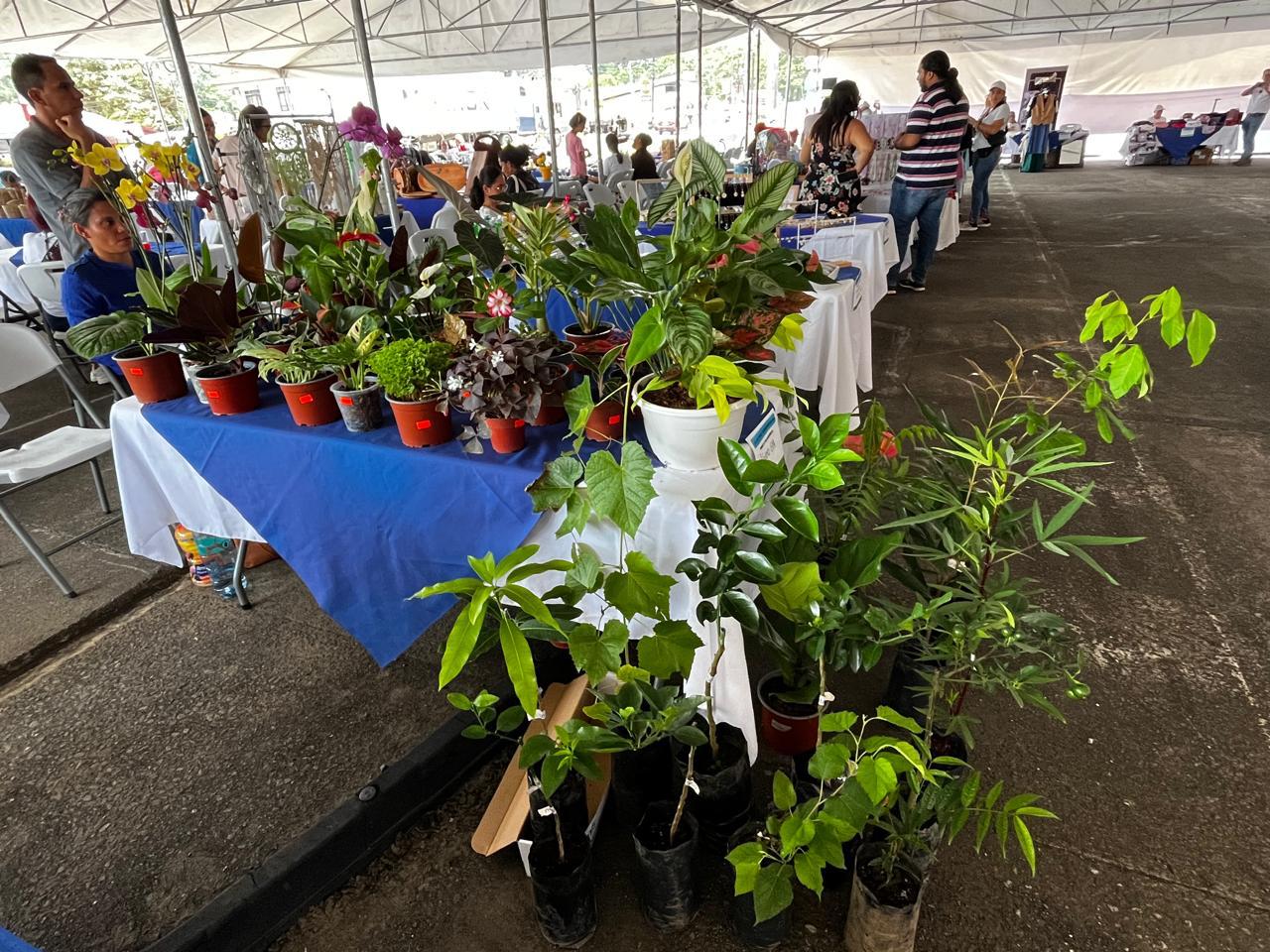 Imagen de la feria en Sarapiquí
