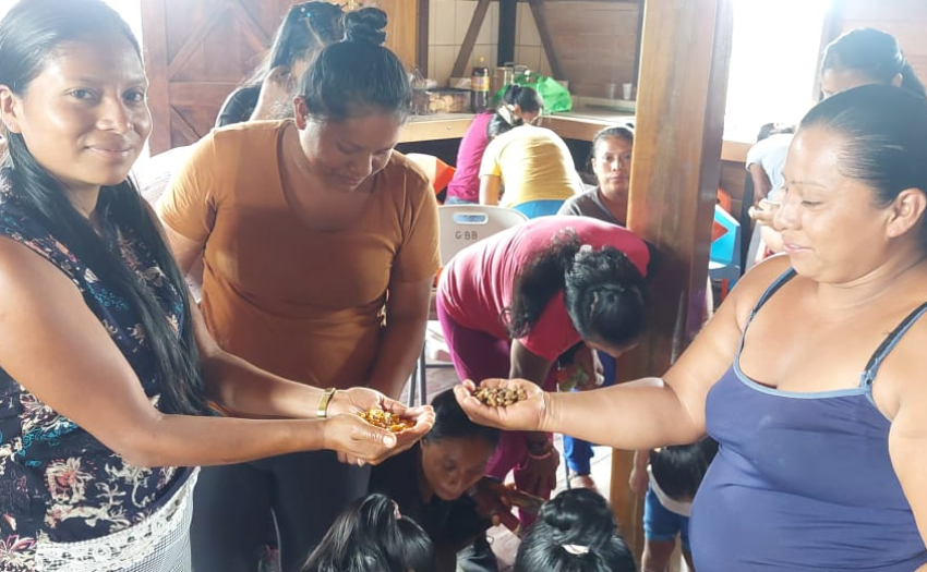 La fotografía muestra mujeres de Territorio Indígena Nairi Awari, realizando un intercambio de semillas en taller realizado