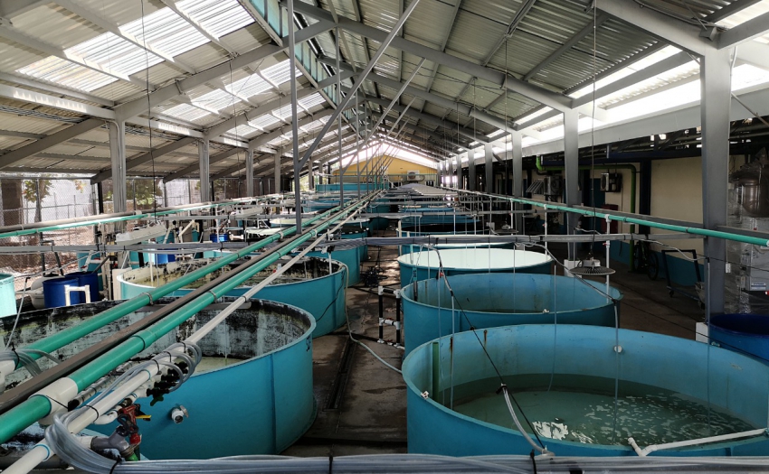 Imagen del laboratorio en el Parque Marino del Pacífico