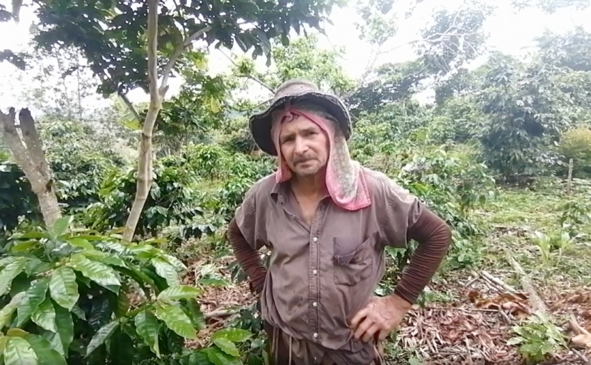 Imagen de persona agricultora de café.
