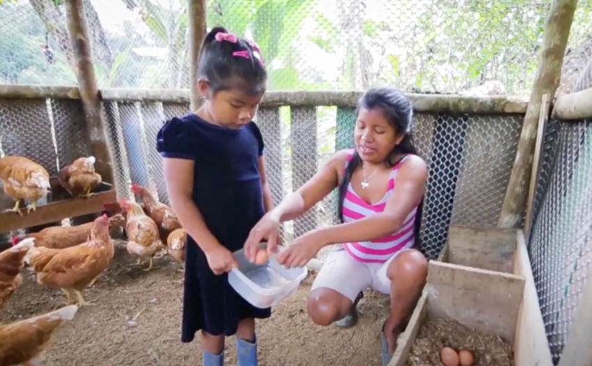 Personas indígenas en su proyecto productivo de granja, apoyadas por el IMAS.