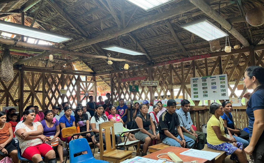 La Unidad Local de Desarrollo Social de Talamanca, en coordinación con el Instituto de Desarrollo Rural (INDER) y la Municipalidad de Talamanca, llevaron a cabo la actividad Feria institucional informativa, cuyo objetivo fue que cada institución  informara sobre la oferta programática a las personas asistentes. 