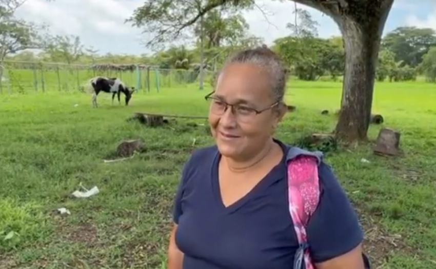 Imagen de frijolera. Preparan a frijoleros de Upala para enfrentar efectos climáticos