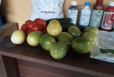 Muestra de los productos logrados mediante los emprendimientos productivos apoyados por IMAS de Acosta y Puriscal